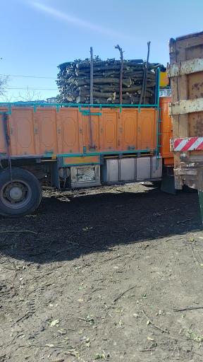 عکس دپو چوب فلاح