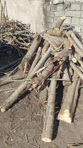 عکس دپو چوب فلاح