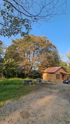 عکس کلبه جنگلی منطقه سیسنگان