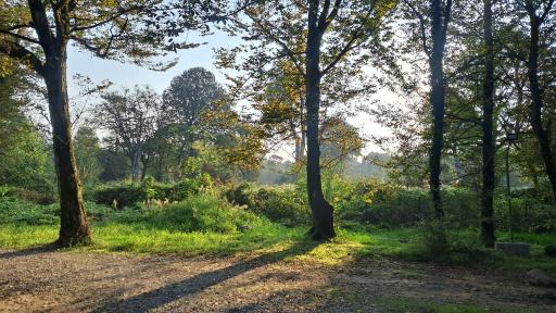 عکس کلبه جنگلی منطقه سیسنگان