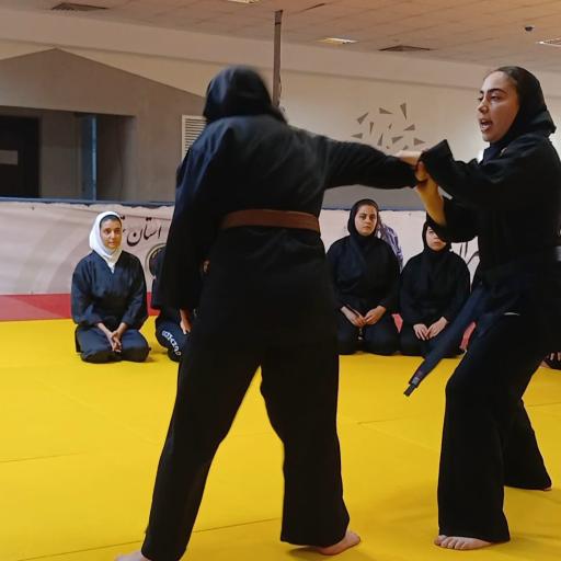 عکس دفاع شخصی خواهران ثابت