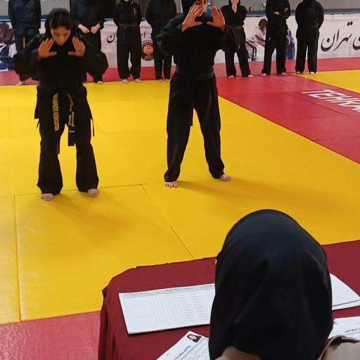 عکس دفاع شخصی خواهران ثابت