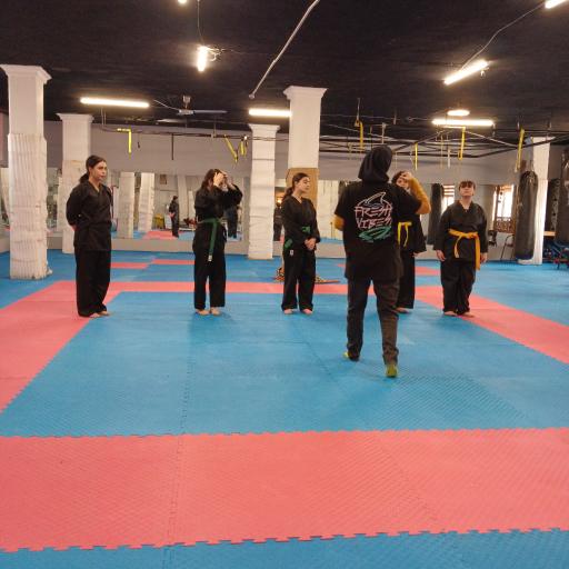 عکس دفاع شخصی خواهران ثابت