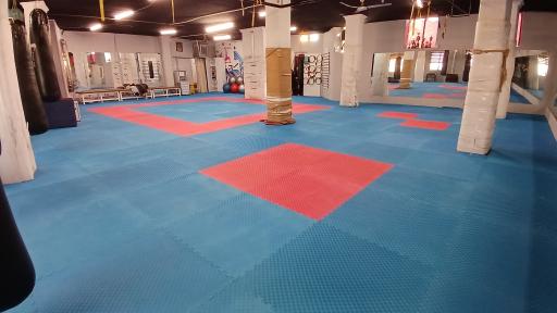 عکس دفاع شخصی خواهران ثابت