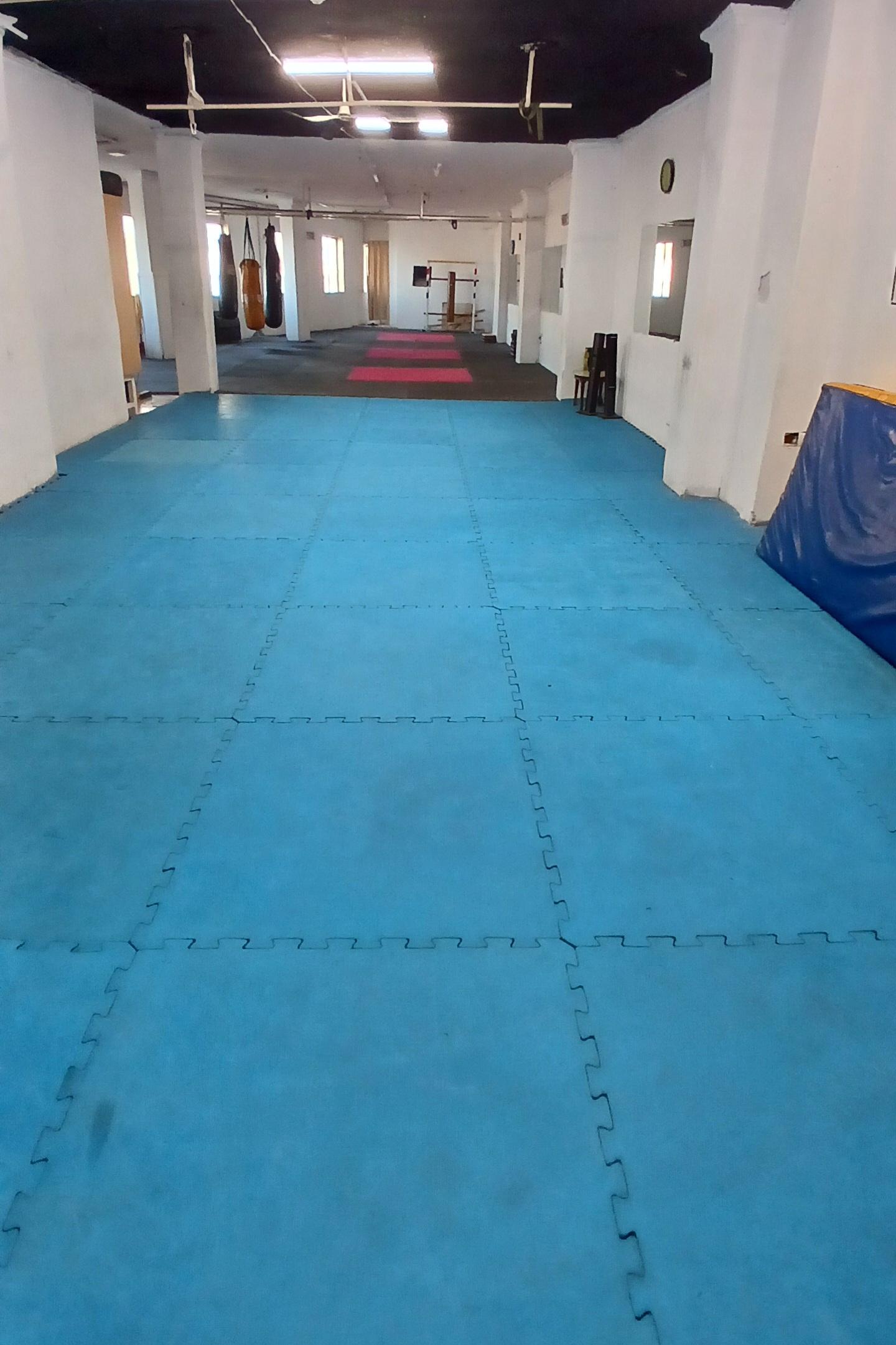 عکس دفاع شخصی خواهران ثابت