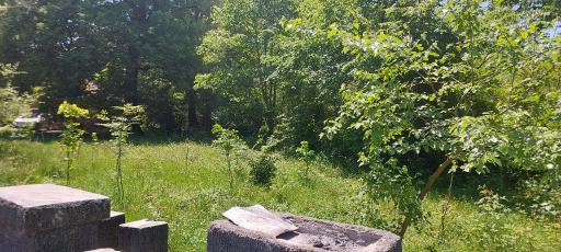 عکس کلبه جنگلی منطقه سیسنگان