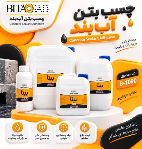 عکس شرکت بیتاساب