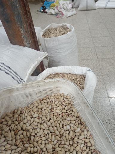 خشکبار عباس‌پور 