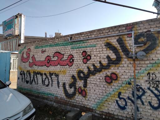عکس قالیشویی محمدی