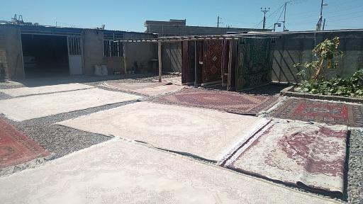 عکس قالیشویی محمدی