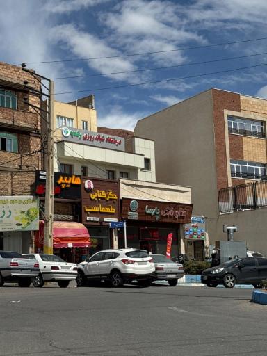 عکس غذای خانگی پارسا