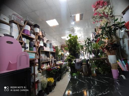 عکس گل فروشی آیریس 