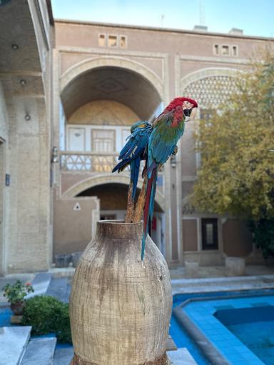 عکس رستوران مشیرالممالک