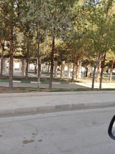 عکس پارک ترافیک