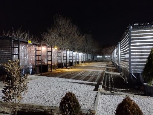 عکس کافه رستوران لاله زار