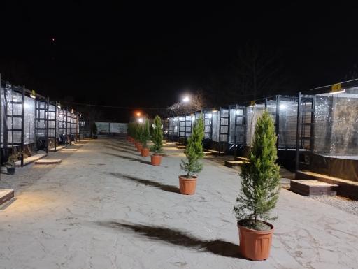 عکس کافه رستوران لاله زار