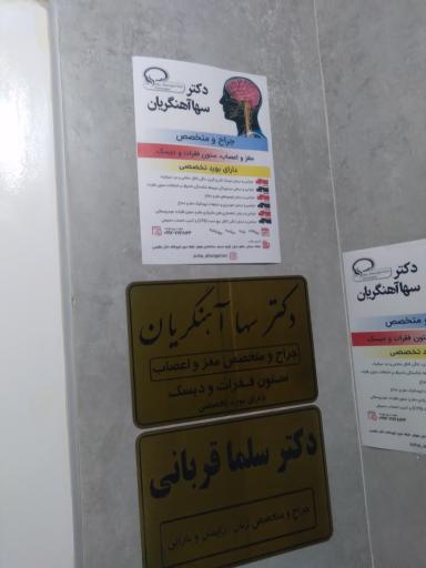 جراح و تخصصی مغز و اعصاب سها آهنگریان