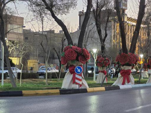 عکس بوستان سعدی