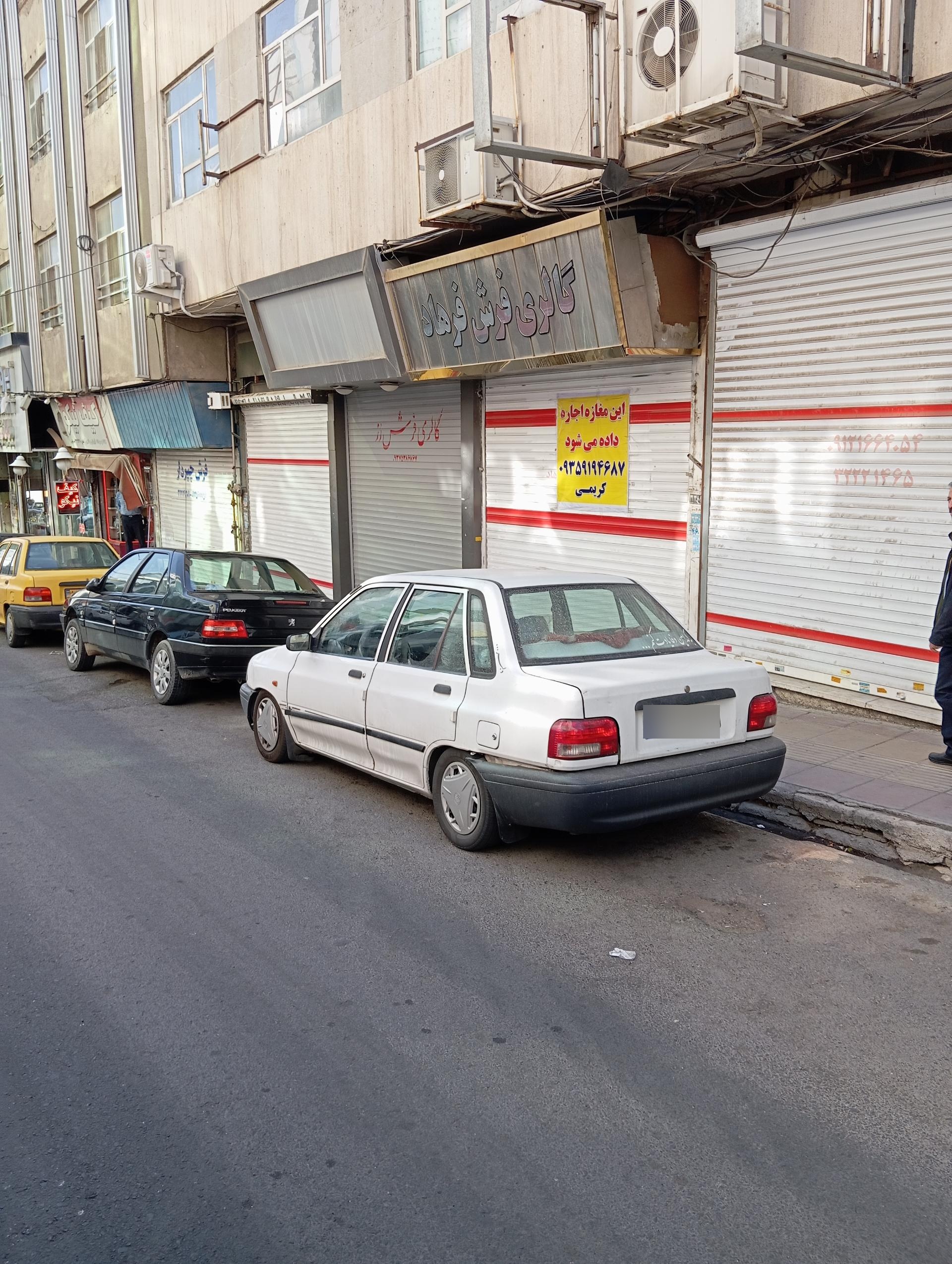 عکس گالری فرش فرهاد