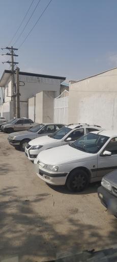 عکس کارتن سازی زرین مهام