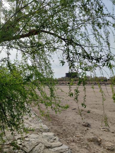 عکس بوستان سعدی