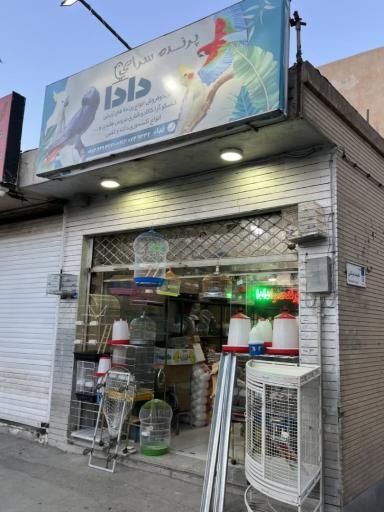 عکس پرنده سرای دادا