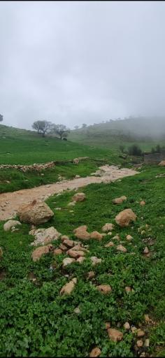 عکس لومار