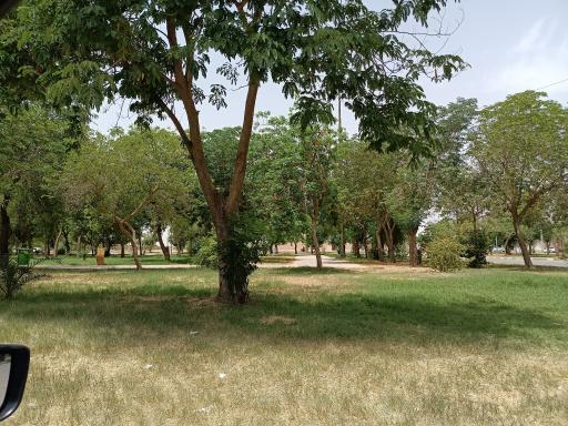 عکس پارک شهید حاجی پور