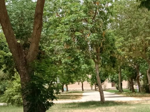 عکس پارک شهید حاجی پور