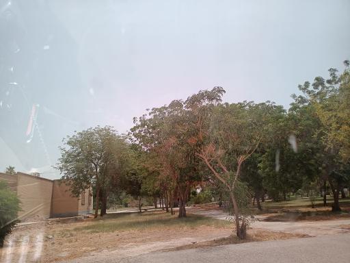عکس پارک شهید حاجی پور