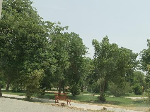 عکس پارک شهید حاجی پور