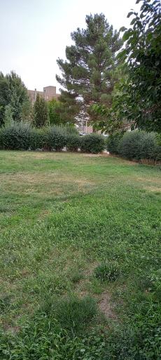 عکس پارک دیسمان