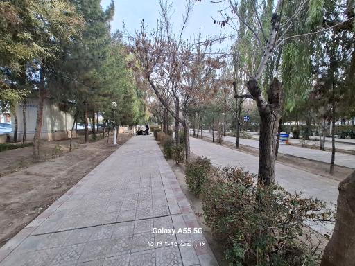 عکس بوستان شقایق