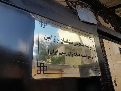 موسسه حسابرسی پیشگامان تراز امین 