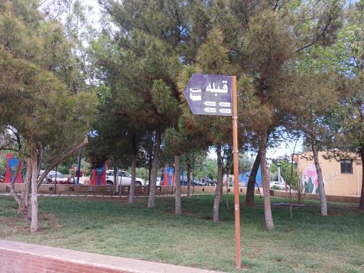 عکس بوستان شقایق