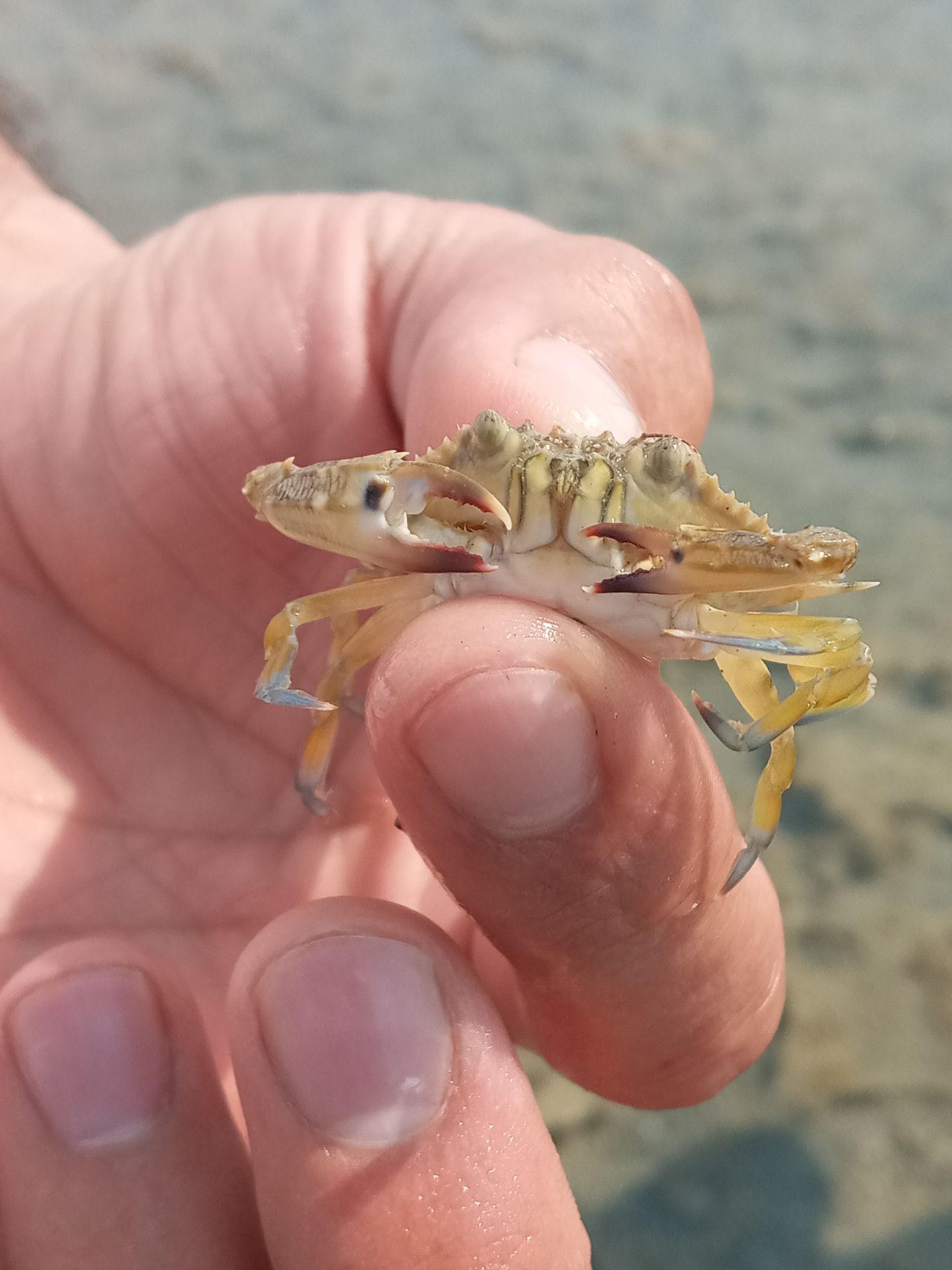 عکس ساحل دریا