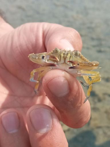 عکس ساحل دریا