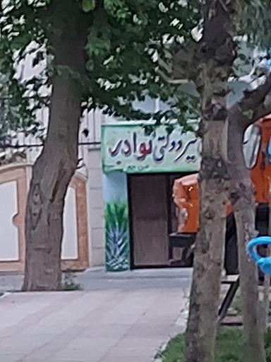 عکس دبستان و پیش دبستانی پسرانه نوادر 