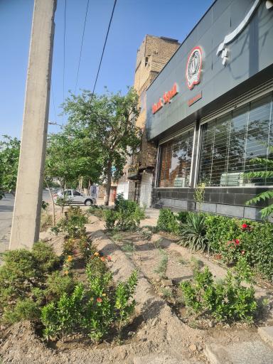 عکس بانک سپه شعبه دانش - کد 1505156