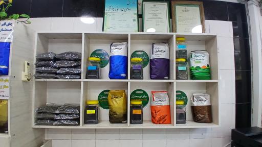 عکس چای نور جعفری