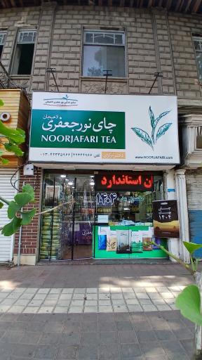 عکس چای نور جعفری