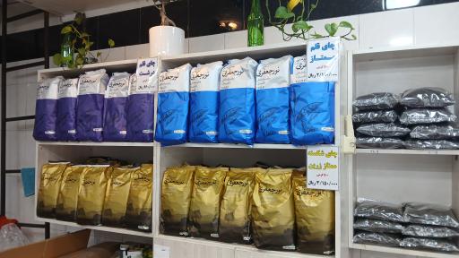 عکس چای نور جعفری