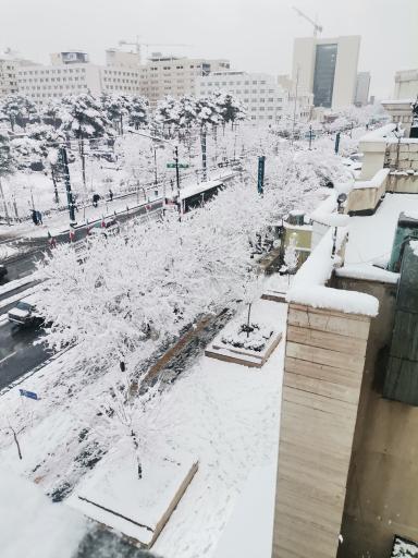 عکس مهمانپذیر صادق