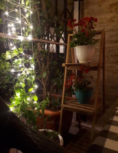 عکس وایس کافه