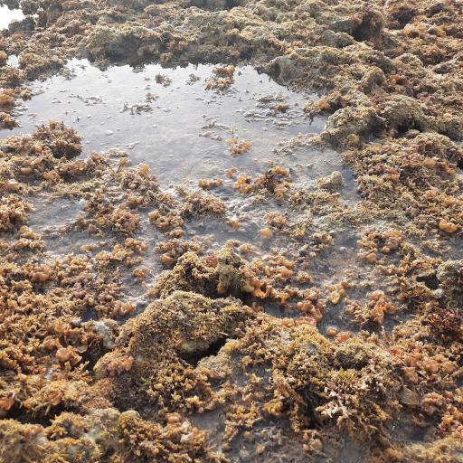 عکس ساحل دریا