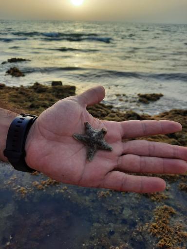 عکس ساحل دریا