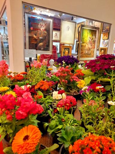 عکس آموزشگاه طراحی و نقاشی لَسکو