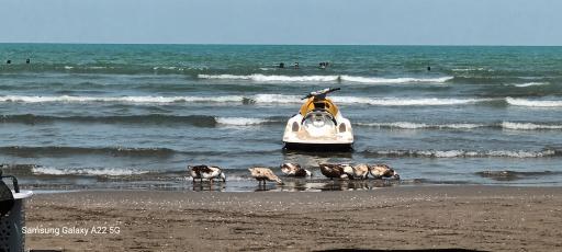 ساحل دریای بابلسر