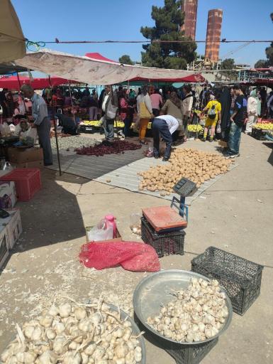 عکس یکشنبه بازار