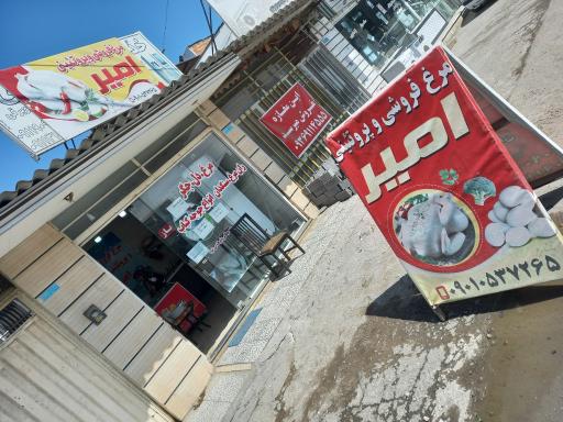 عکس مرغ و پروتئین امیر